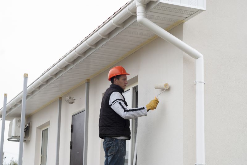 Local Exterior Cladding Painting in Laguna Hills, CA