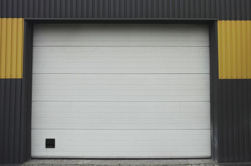 Garage Doors Painting