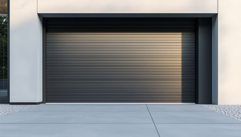 Garage Doors Painting