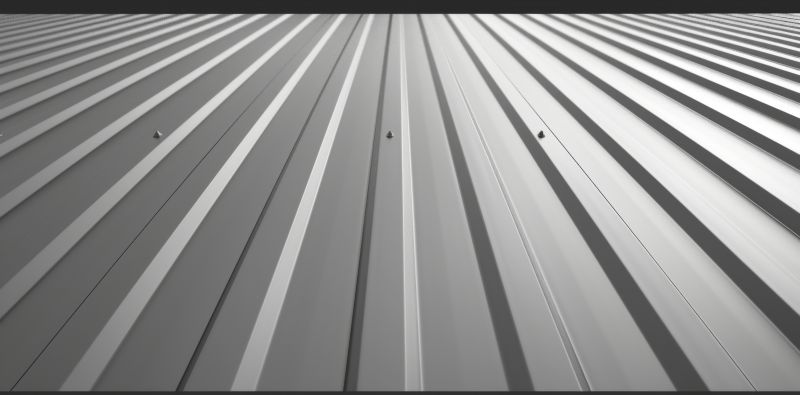 Local Metal Roof Painting in Concord, NC