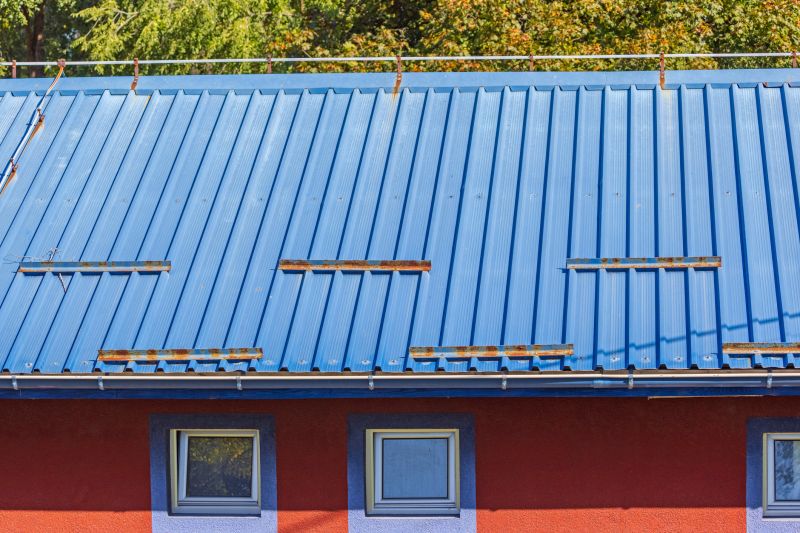 Local Metal Roof Painting in Sherrills Ford, NC