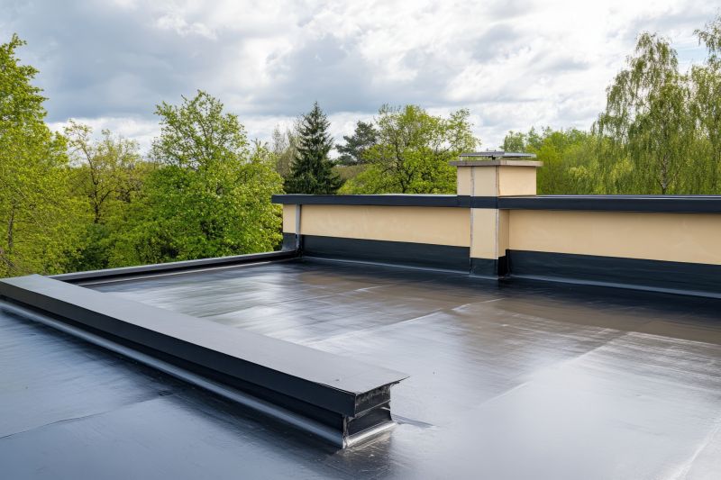 Local Roof Painting Service in Concord, NC