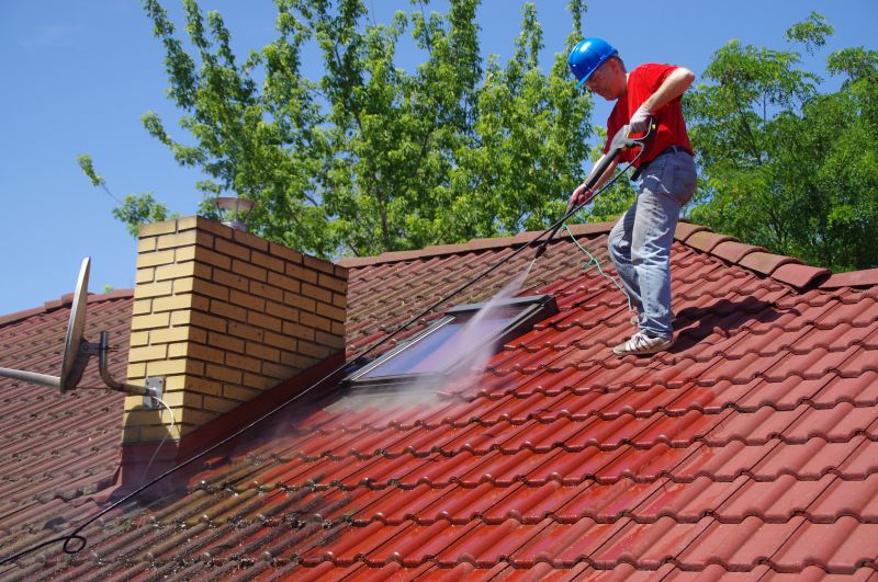 Local Roof Painting Service in Mount Holly, NC