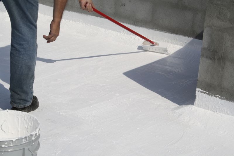 Local Roof Painting Service in Port Arthur, TX