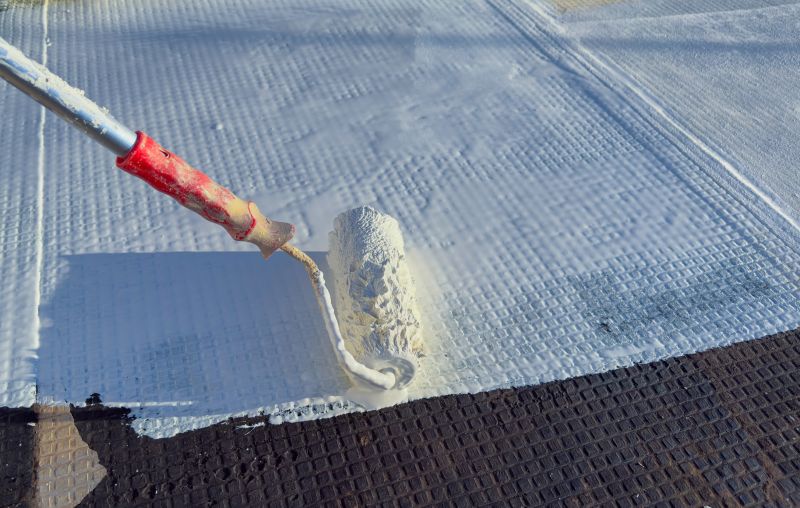 Local Roof Painting Service in Sherrills Ford, NC