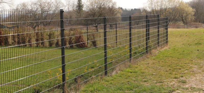 Local Wire Fence Painting in Grand Rapids, MI