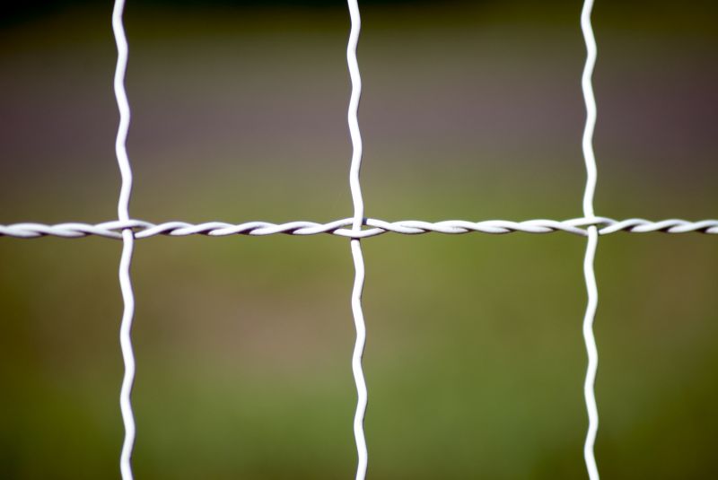 Local Wire Fence Painting in Oceanside, CA