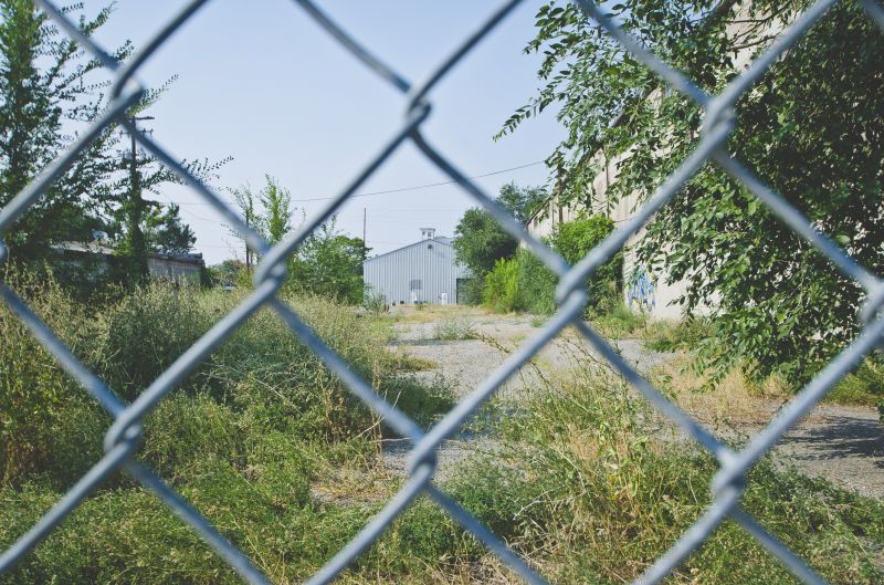 Local Wire Fence Painting in Saint Paul, MN