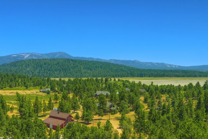 Local Building Painting Service in Big Bear City, CA