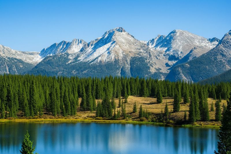 Local Door Staining Service in Lafayette, CO