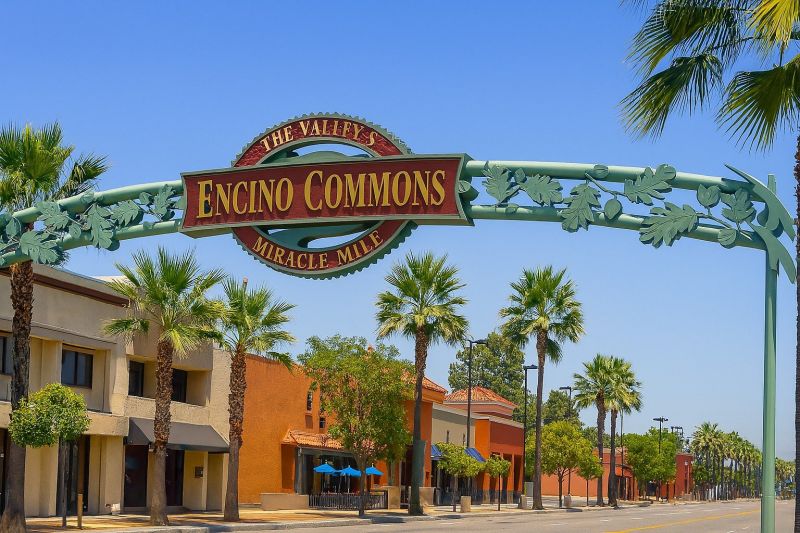 Local Electrostatic Metal Painting in Encino, CA