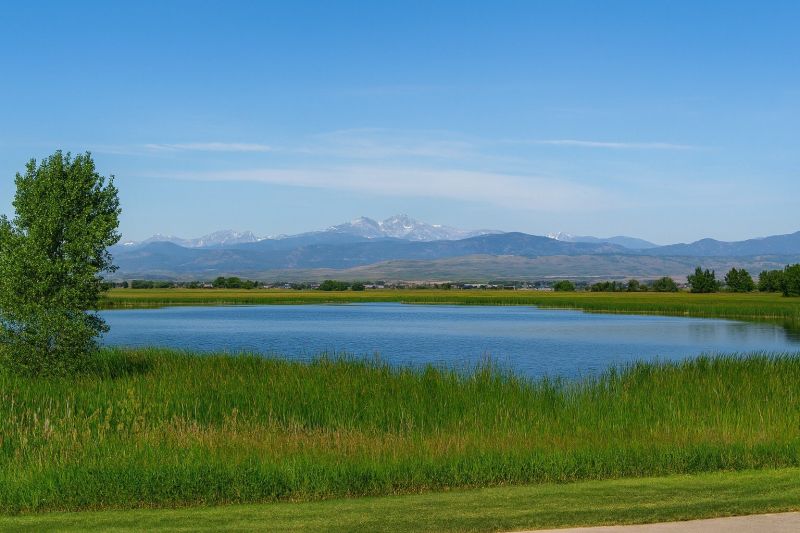 Local Exterior Home Painting in Timnath, CO