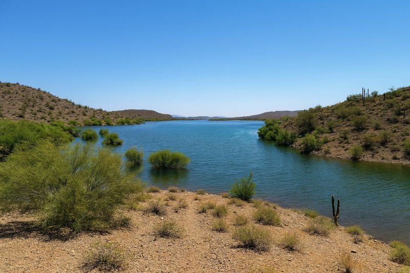 Local Exterior House Painting in New River, AZ