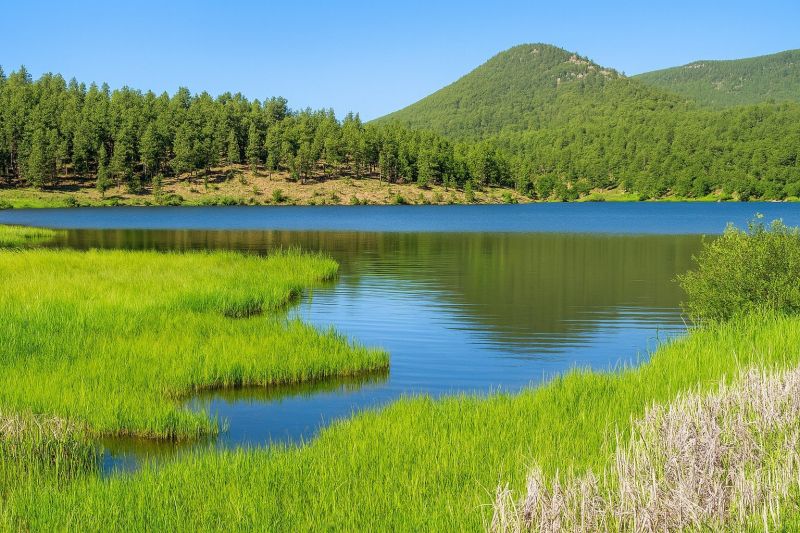Local Pergola Painting in Evergreen, CO