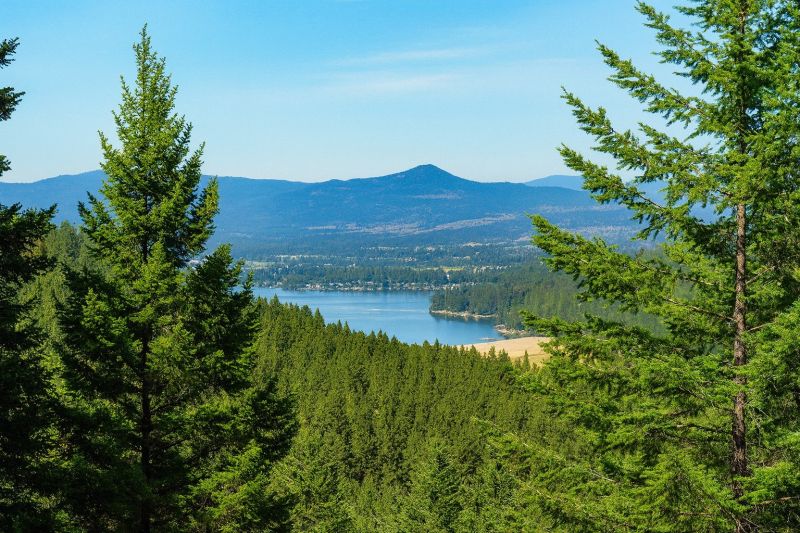 Local Wood Deck Staining Service in Liberty Lake, WA